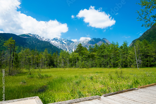田代湿原と遊歩道、上高地6月