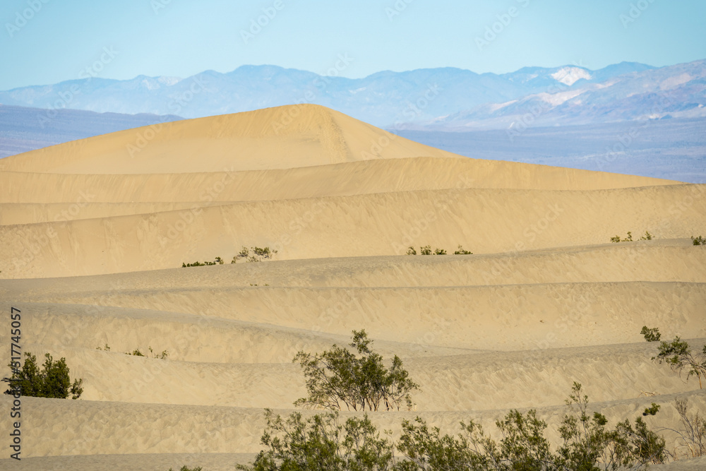 Plants On Land By Desert Area And Rocky Mountains Plants On Land By Desert Area And Rocky Mountains