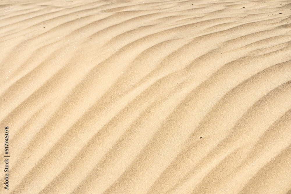 Sand dune texture in Death Valley Sand dune texture in Death Valley