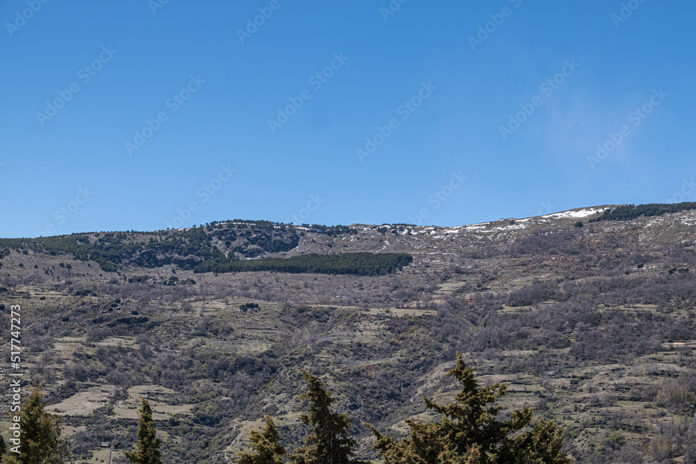 View to rocky mountains partly covered by snow with clear blue sky and clouds in background and evergreen trees in the foreground