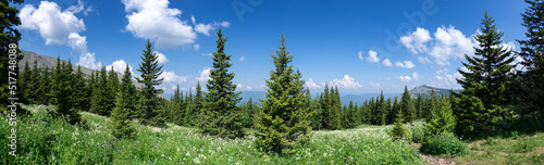 Mountain landscape in Russia in July, Ural Sverdlovsk region
