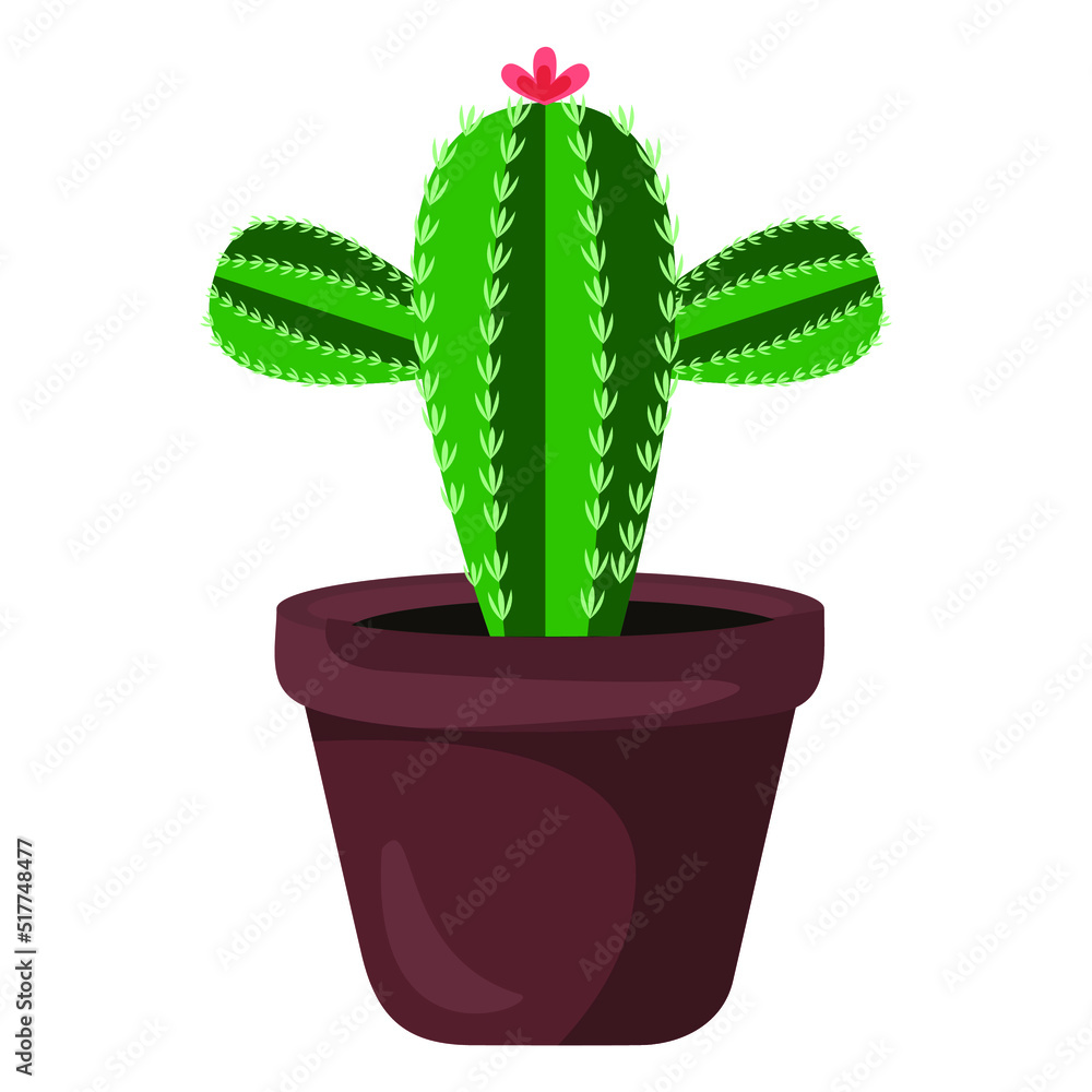 Vector illustration of cactus flowerpot, indoor flower, decorative flower Vector illustration of cactus flowerpot, indoor flower, decorative flower