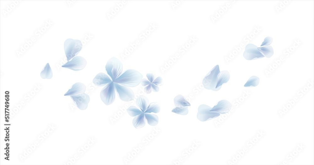 White Blue flying flower and petals isolated on White background. Sakura petals. Vector White Blue flying flower and petals isolated on White background. Sakura petals. Vector