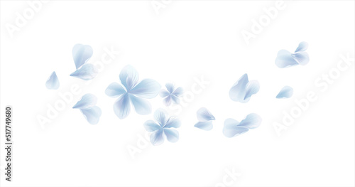 White Blue flying flower and petals isolated on White background. Sakura petals. Vector