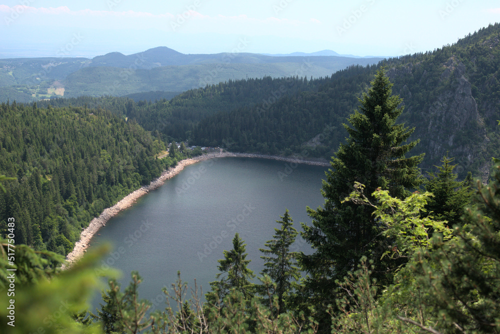 Fototapeta premium Le Lac Blanc dans le massif des Vosges - France