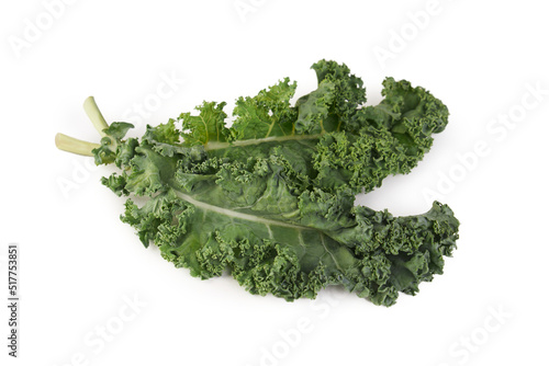 Fresh green kale leafy vegetable ingredient isolated on studio white background ready to be cooked. 