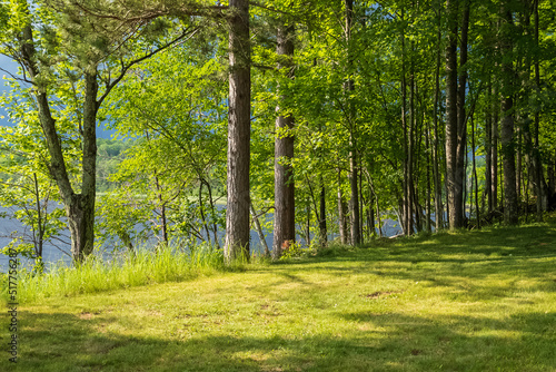 View of Northwoods treeline along waterfront in Hayward, WI