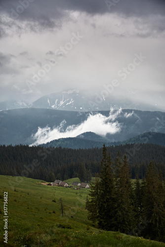 Mountain valley while rainy day. foggy mountain hills. Summer in Carpathian Mountains. Ukraine