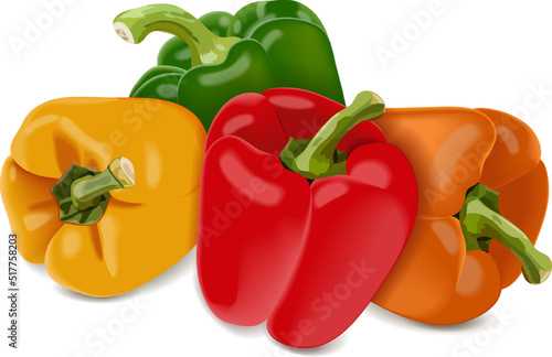 Red, green, yellow, and orange bell peppers for banners, flyers, posters, social media. Sweet bell peppers, capsicum. Fresh organic vegetables. Vector illustration isolated on white background.