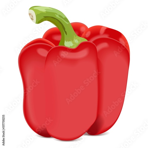 Bell peppers for banners, flyers, posters, social media. Red peppers, sweet bell peppers, capsicum. Fresh organic and healthy, vegetarian vegetables. Vector illustration isolated on white background.