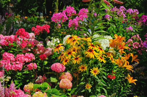 Summer flower bed with bright flowers