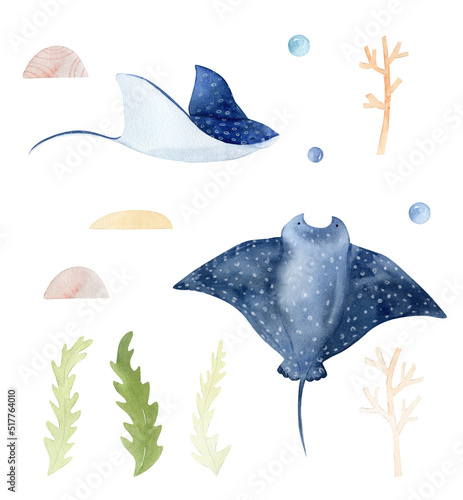 Watercolor manta ray illustration. Cute baby animal underwater graphics. Manta hand-drawn, sea animal, fish. Ocean children illustration, coral reef, seaweed