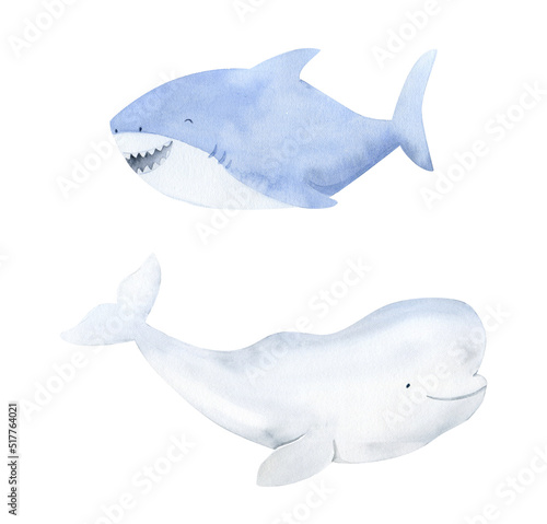 Watercolor beluga illustration. Cute baby shark animal underwater graphics. Whale hand-drawn, sea animal, fish. Ocean children illustration