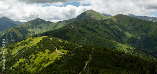 Fototapeta Naklejka Na Ścianę i Meble -  View from the ridge of the Western Tatras to the valley in the middle of summer. Beautiful summer mountains with green grass during a sunny day. Tatry, Slovakia, Poland