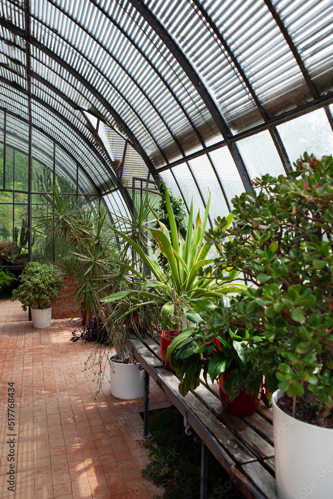 Interior of a vintage greenhouse