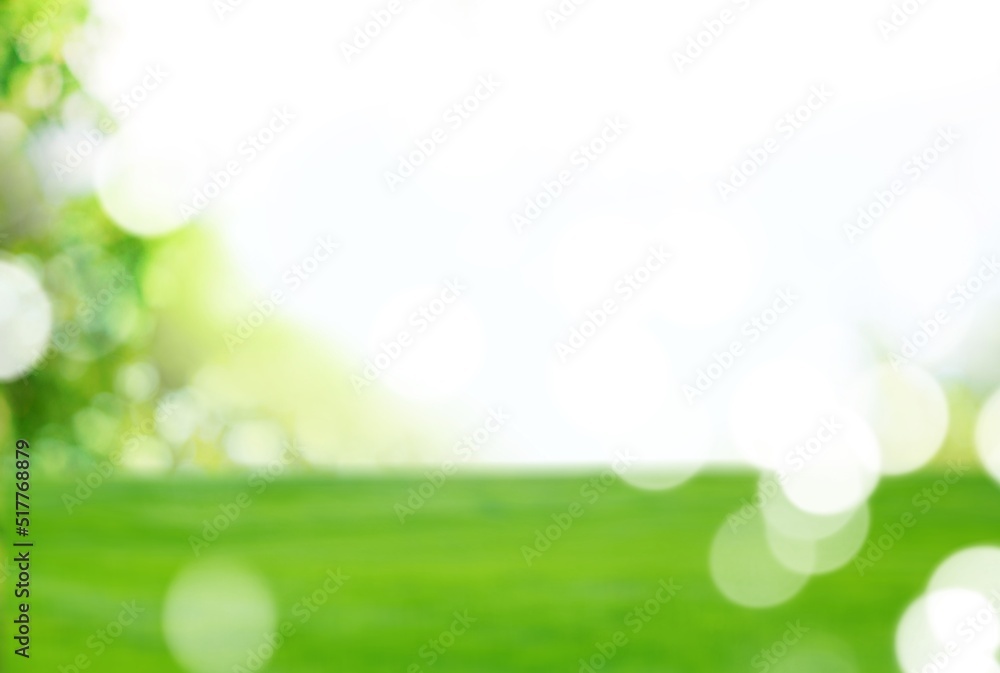 Fototapeta premium Green grass field summer landscape background. Blurred bokeh
