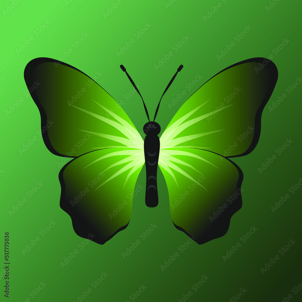 Butterfly with green wings. Vector illustration. Insects Stock Vector