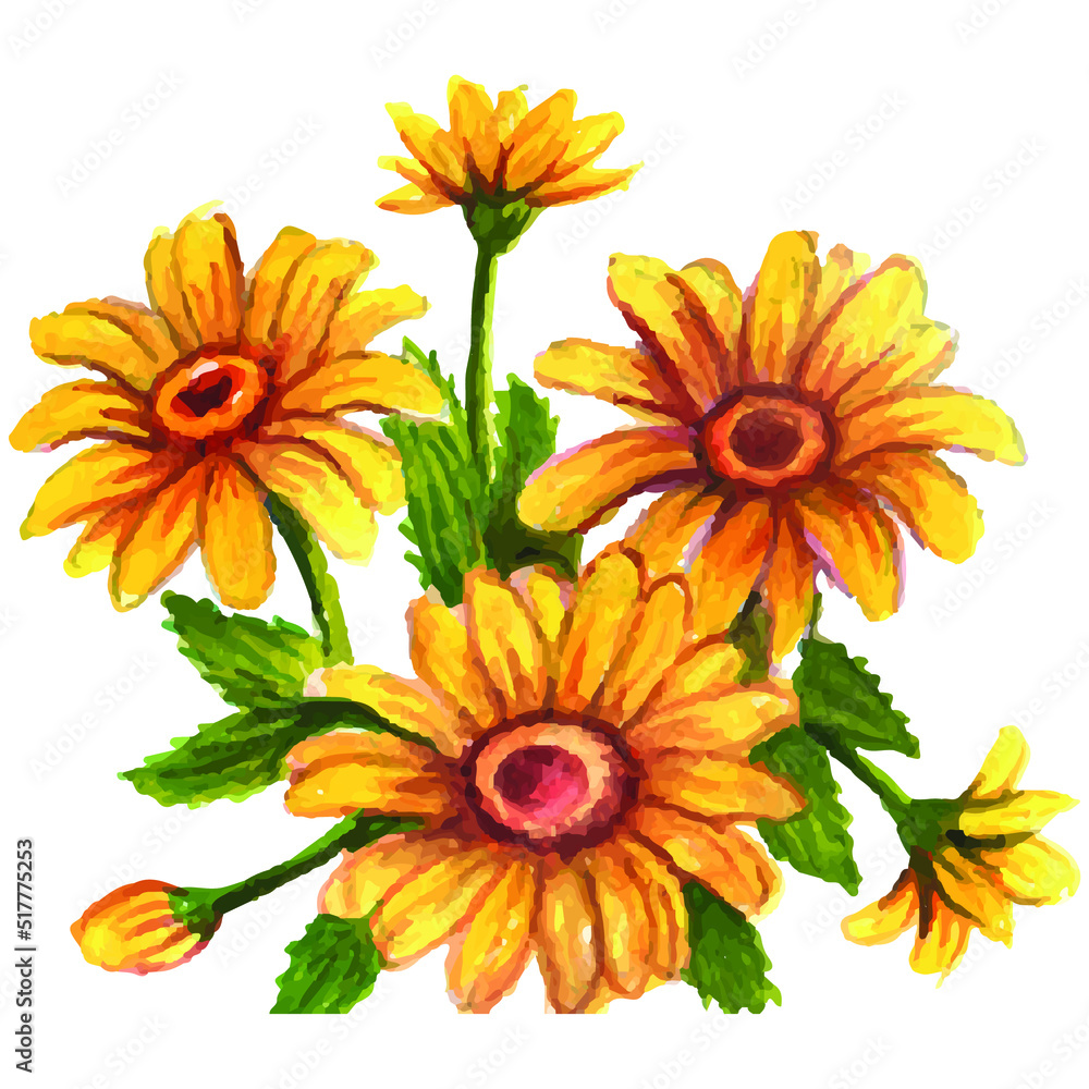 hand drawn illustration sun flowers hand drawn illustration sun flowers