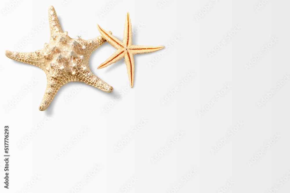 Summer time concept, beautiful starfish and sea shells on colored table Summer time concept, beautiful starfish and sea shells on colored table