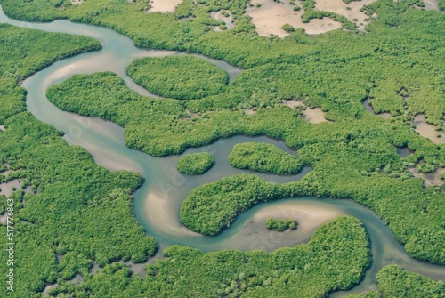 La mangrove du Parc National du Delta du Saloum vu du Ciel, Senegal. photo