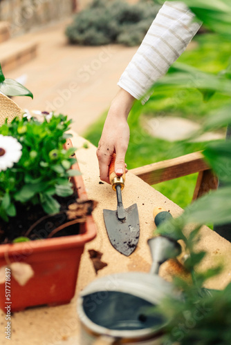 A woman gardener's hand picking up a shovel at the workbench. Nature concept. Gardening concept.
