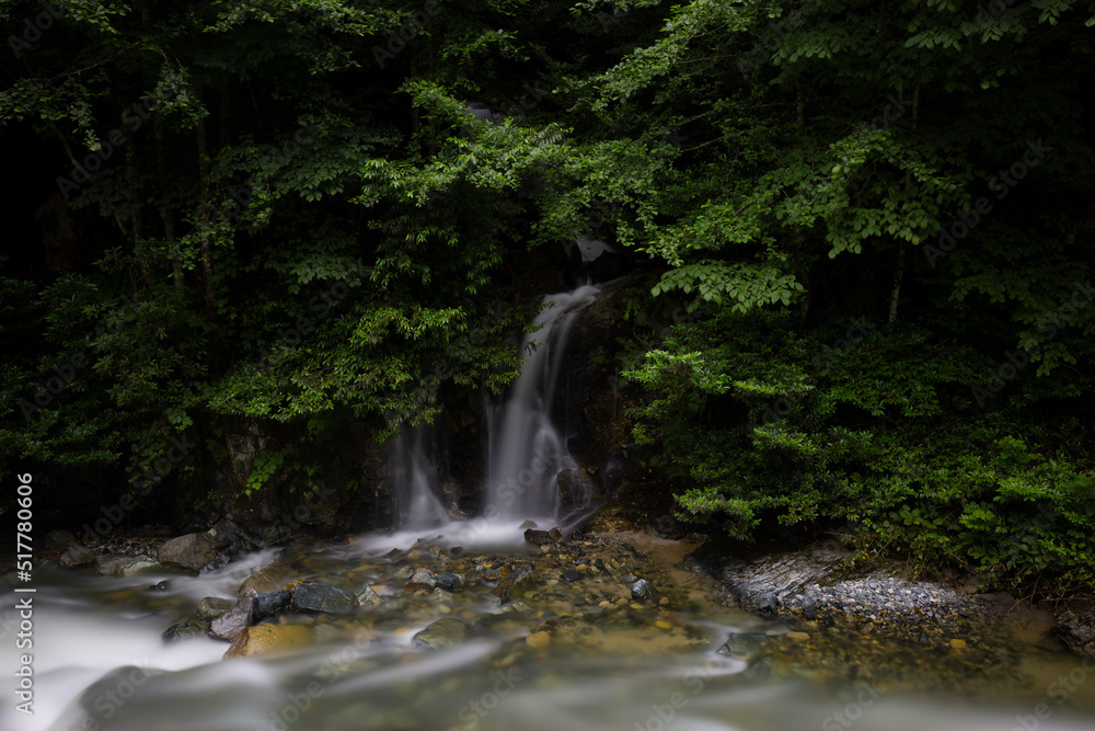 Palovit Waterfall in Camlihemsin Rize Turkey