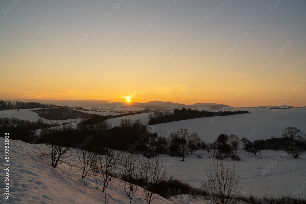 Nature under the snow during winter. Slovakia