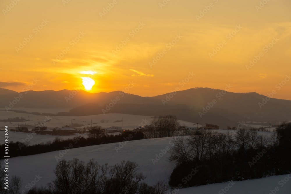 Nature under the snow during winter. Slovakia