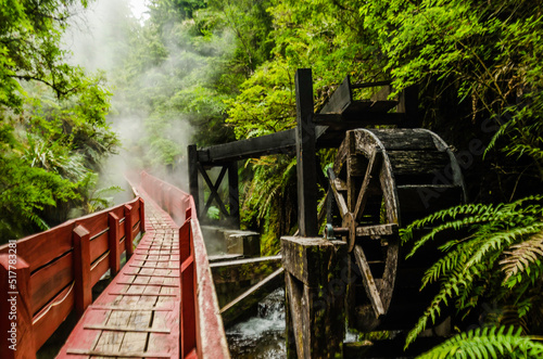wooden bridge in the forest photo