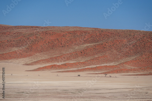 Sand dunes covered in scrub in Kalahari Desert  Namibia Africa