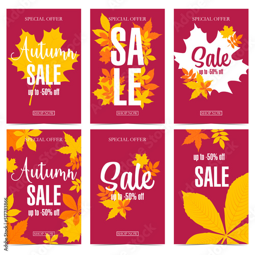 Sale banner for autumn discount and special offer shopping season with bright fall leaves and lettering. Vector poster, leaflet or flyer for reduction announcement and web or social media promotion.