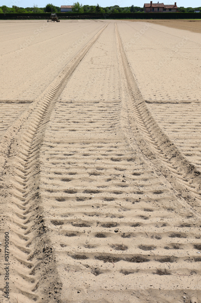 dry field due to the drought and the marks left by the tractor in the ...