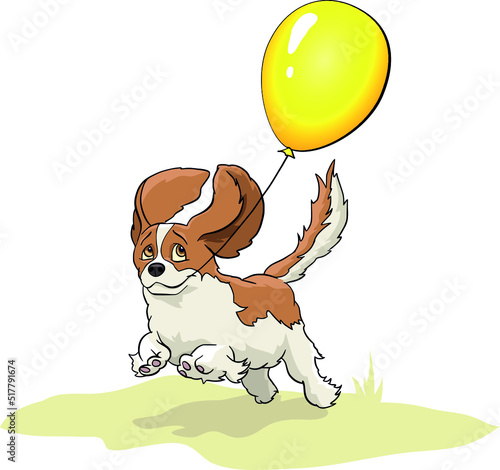 Dog, Cavalier kings charles cheerful runs with a balloon