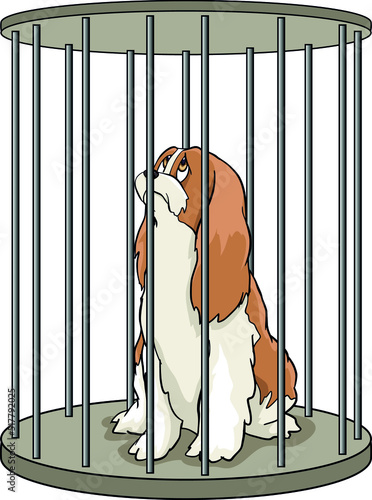 A dog locked in a round cage, waiting for the sentence, doomed, quarantine, covid, monkey flu,