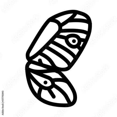 butterfly wing line icon vector. butterfly wing sign. isolated contour symbol black illustration