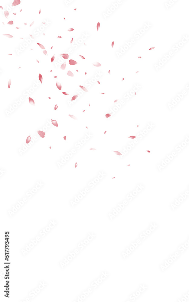 Beautiful Rose Flying Vector White Background.