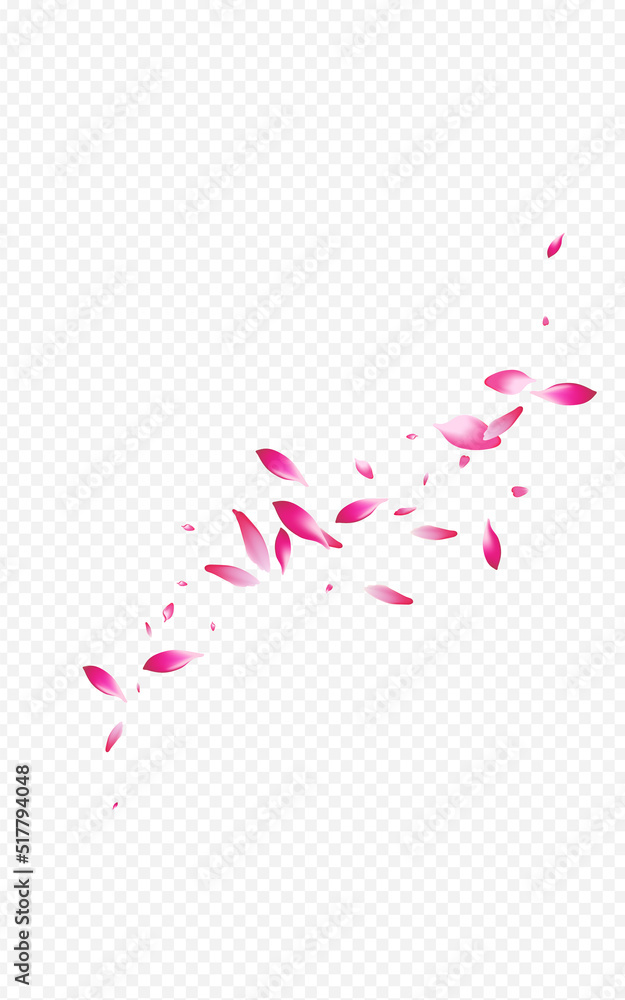 Pink Flower Japan Vector Transparent Background.