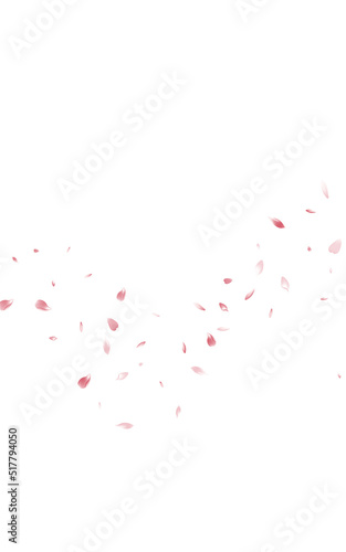 Pink Petal Blur Vector White Background. Japanese