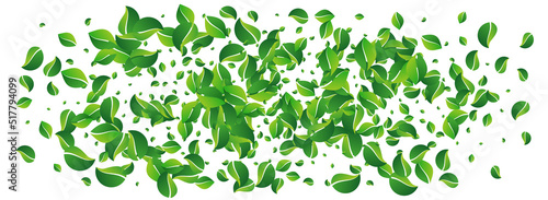 Green Leaves Blur Vector Panoramic White