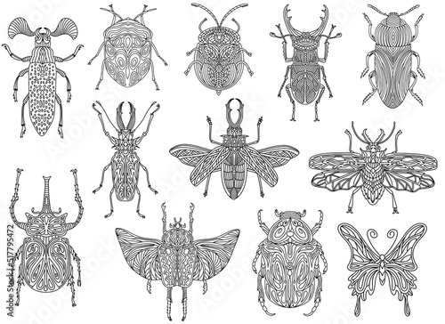 A collection of beetles and insects in a linear style. Linear vector illustration of beetles.