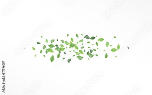 Swamp Leaves Swirl Vector White Background