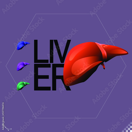 Modern beautiful stylized monotone human organ symbols and icons liver  - part of a set