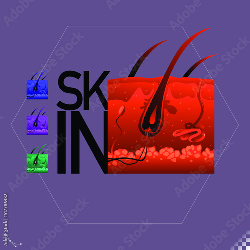 Modern beautiful stylized monotone human skin organ symbols and icons cross-section - part of a set