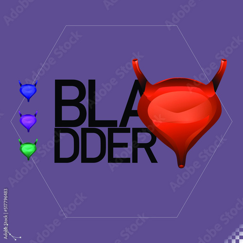 Graphic stylized illustration of iconic symbols the internal human bladder organ - part of a set