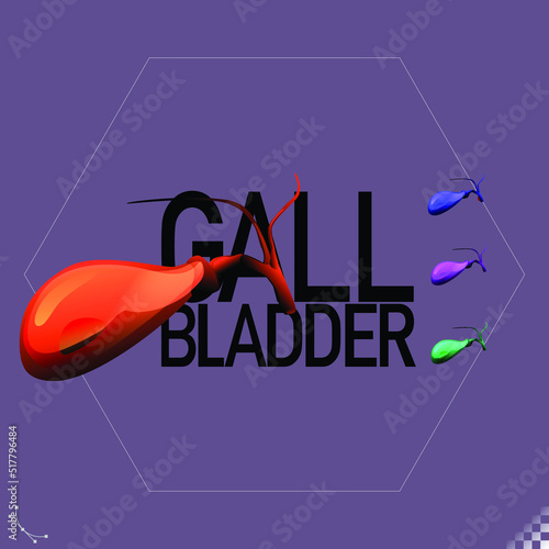Modern beautiful stylized monotone human gallbladder organ symbols and icons - part of a set