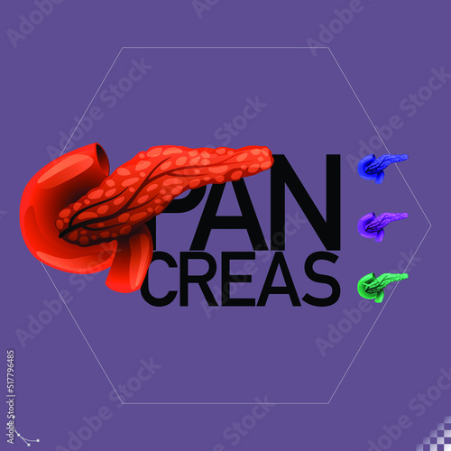 Modern beautiful stylized monotone human pancreas organ symbols and icons   - part of a set