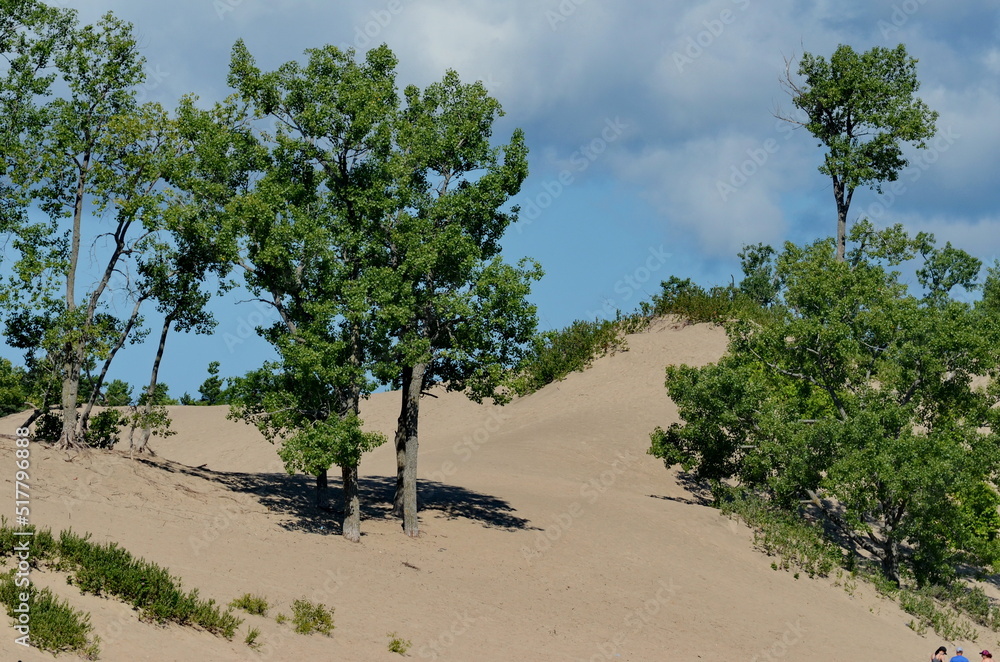 Fototapeta premium Dunes Beach sand dunes at Sandbanks Provincial Park in Ontario, Canada. Sandbanks is the largest baymouth barrier dune formation in the world. It is located on Lake Ontario.