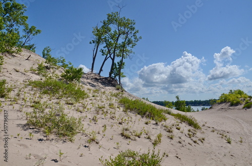 Dunes Beach sand dunes at Sandbanks Provincial Park in Ontario, Canada.   Sandbanks is the largest baymouth barrier dune formation in the world. It is located on Lake Ontario. photo