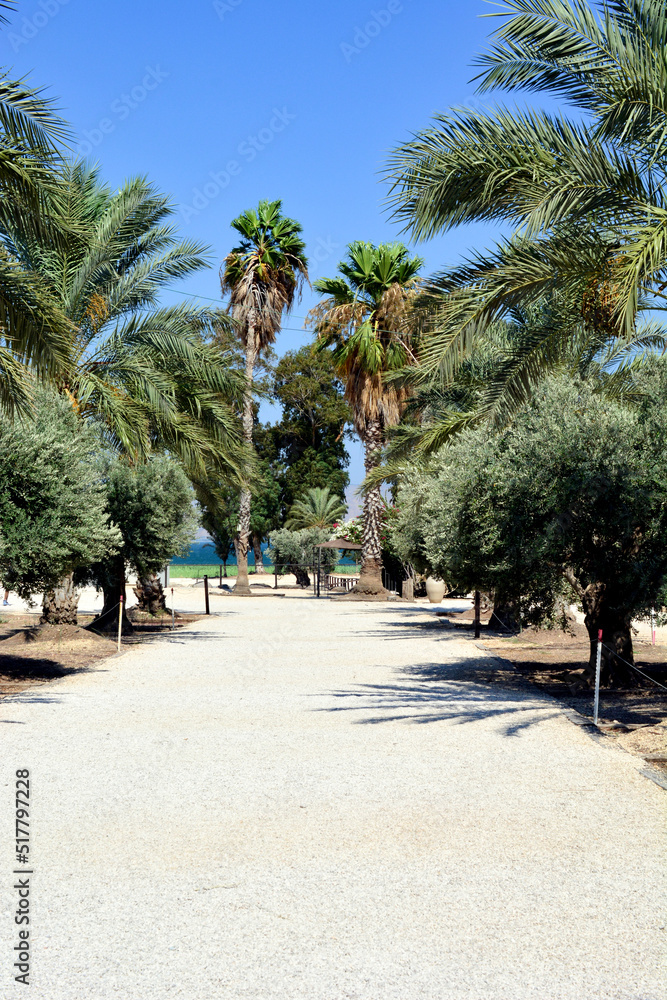 Mediterranean Sea at Magdala, Israel