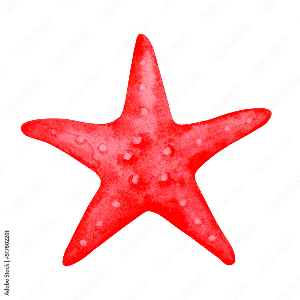 Starfish. Watercolor clipart. Design element isolated on white background.. Starfish. Watercolor clipart. Design element isolated on white background..